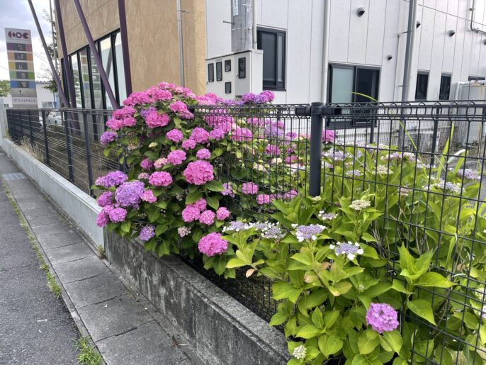 郡山市　外壁