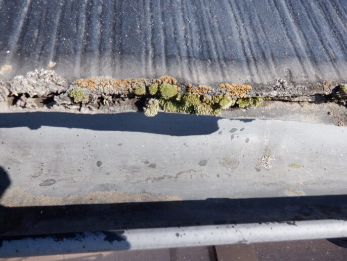 屋根ほスレート瓦小口部分に苔が発生しています。