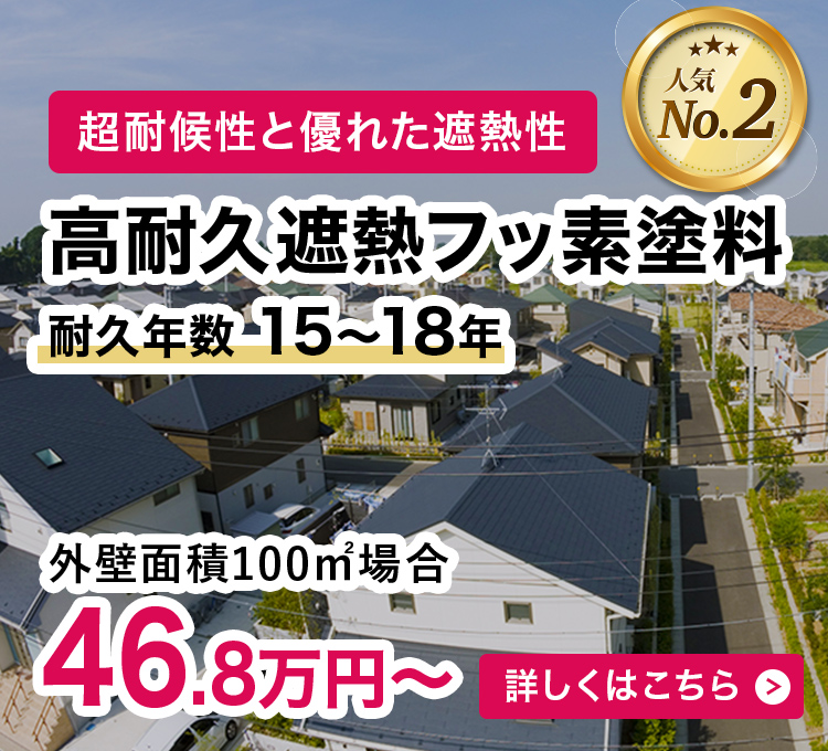 遮熱フッ素塗装 46.8万円
