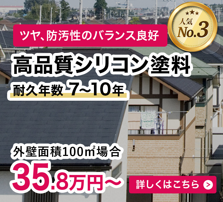 高品質シリコン塗装 35.8万円