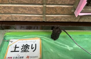 水切り　上塗り状況