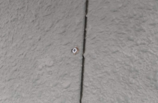 外壁にある浮いたビスを打ち、平らにします。