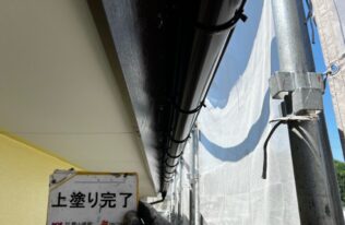 雨樋塗装　施工完了