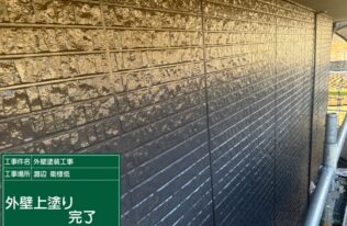 外壁の上塗り完了です。